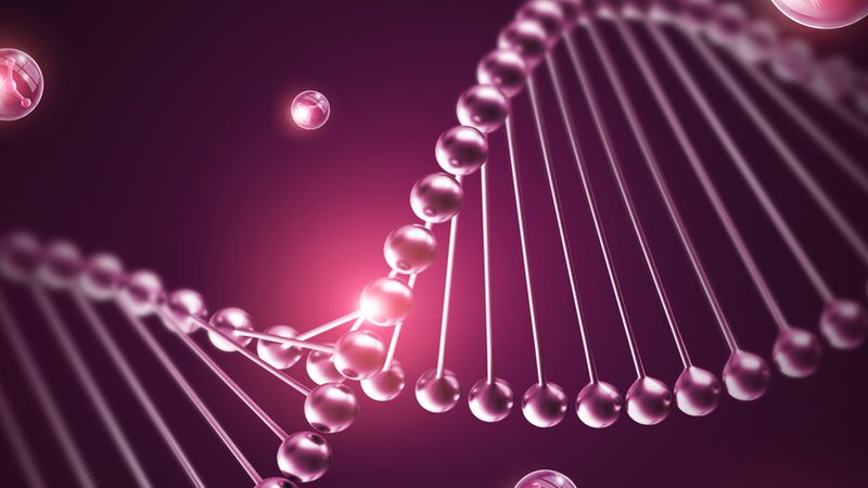 ADC抗体偶联药物：揭秘其研发之路与选择指南**