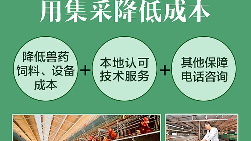 中国CDMO公司排名背后的考量因素