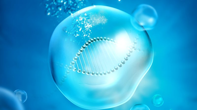 CDMO与CMO：揭秘生物制药领域的两大合作伙伴