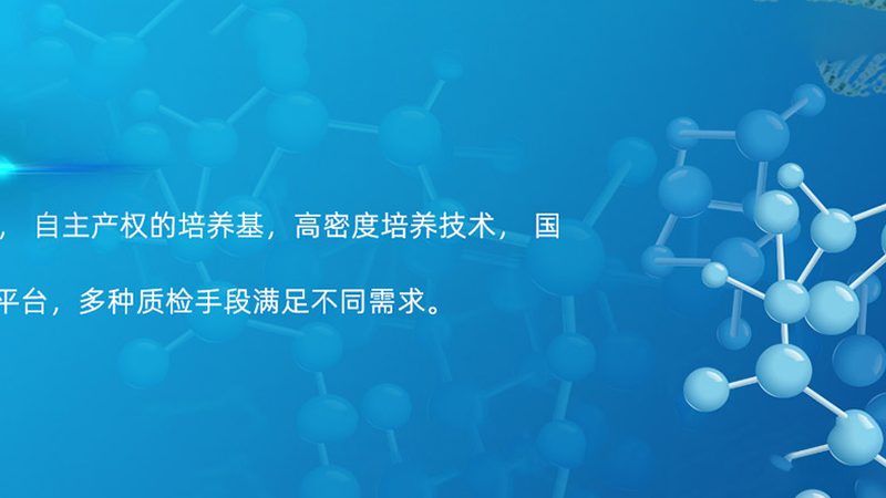 脂肪酶：揭秘其背后的生产奥秘与选择之道**
