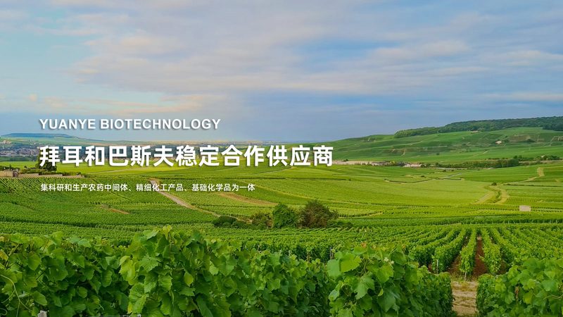 酶含量测定试剂：广州地区报价解析**