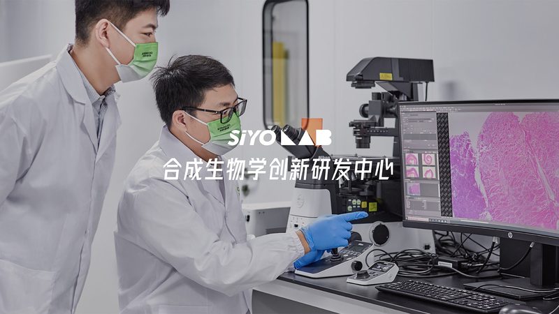 生物科技研发流程优化：揭秘高效研发之道