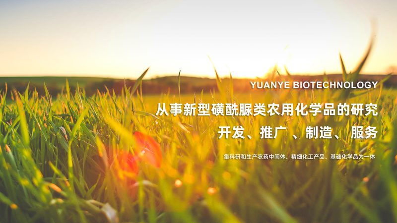科技有限公司