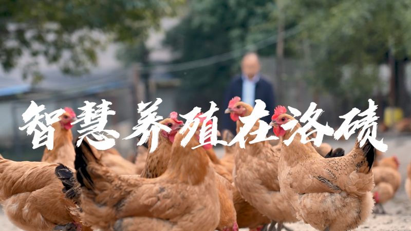 提升CRO转化率的关键策略与成本考量